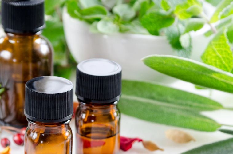 Oregano is an incredibly versatile and powerful herb that offers numerous health benefits when used regularly. Whether you prefer it fresh, dried, or as an essential oil, adding oregano to your diet can support your immune system, improve digestion, and help with respiratory health.