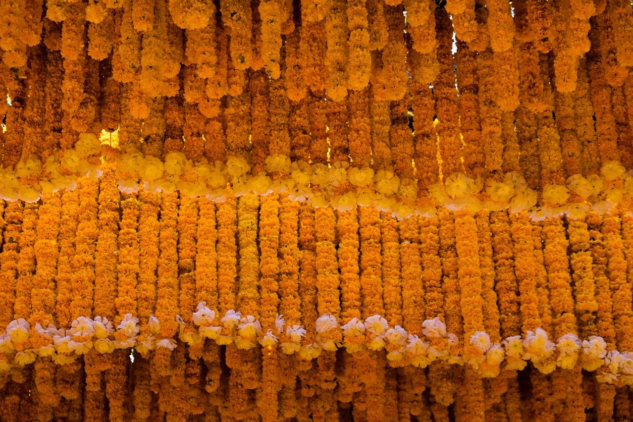 calendula, marigold, ayurveda, healing skincare remedies natural holistic wellness wellbeing organic skincare vegan skincare products face masks chakras herbalism naturopathy herbal tinctures flowers essences bach