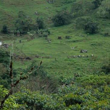 Land in Nigeria.  Find land for sale in Nigeria from trusted estate agents & private sellers.