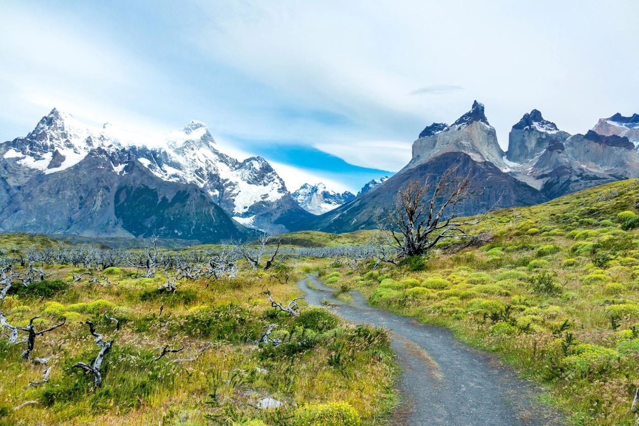 Vue des Andes