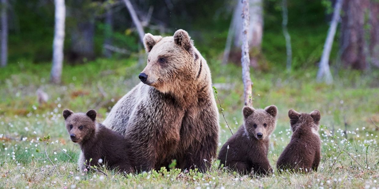 Integrity, connection and compassion