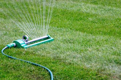 Watering the lawn