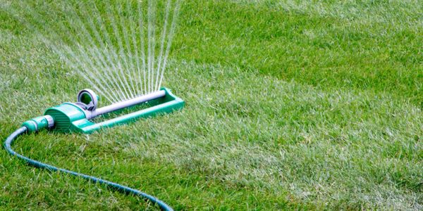 calgary lawn care