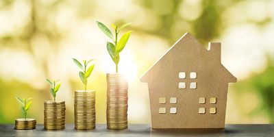 progressively higher stacks of coins with a plant shooting on top of the stacks followed by a house.