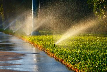 Sprinklers watering a green lawn beside a wet sidewalk in the sunlight.