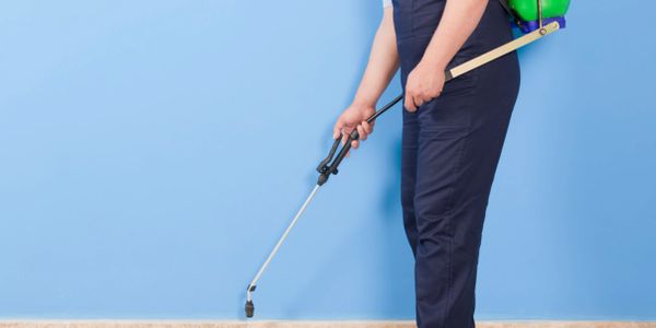 Pest control technician spraying 