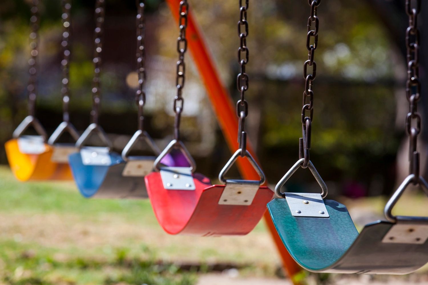 A series of colourful swings in a row against a background with greenery.
