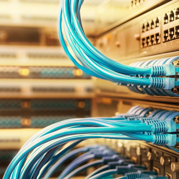 Blue network cables connected to a server panel.