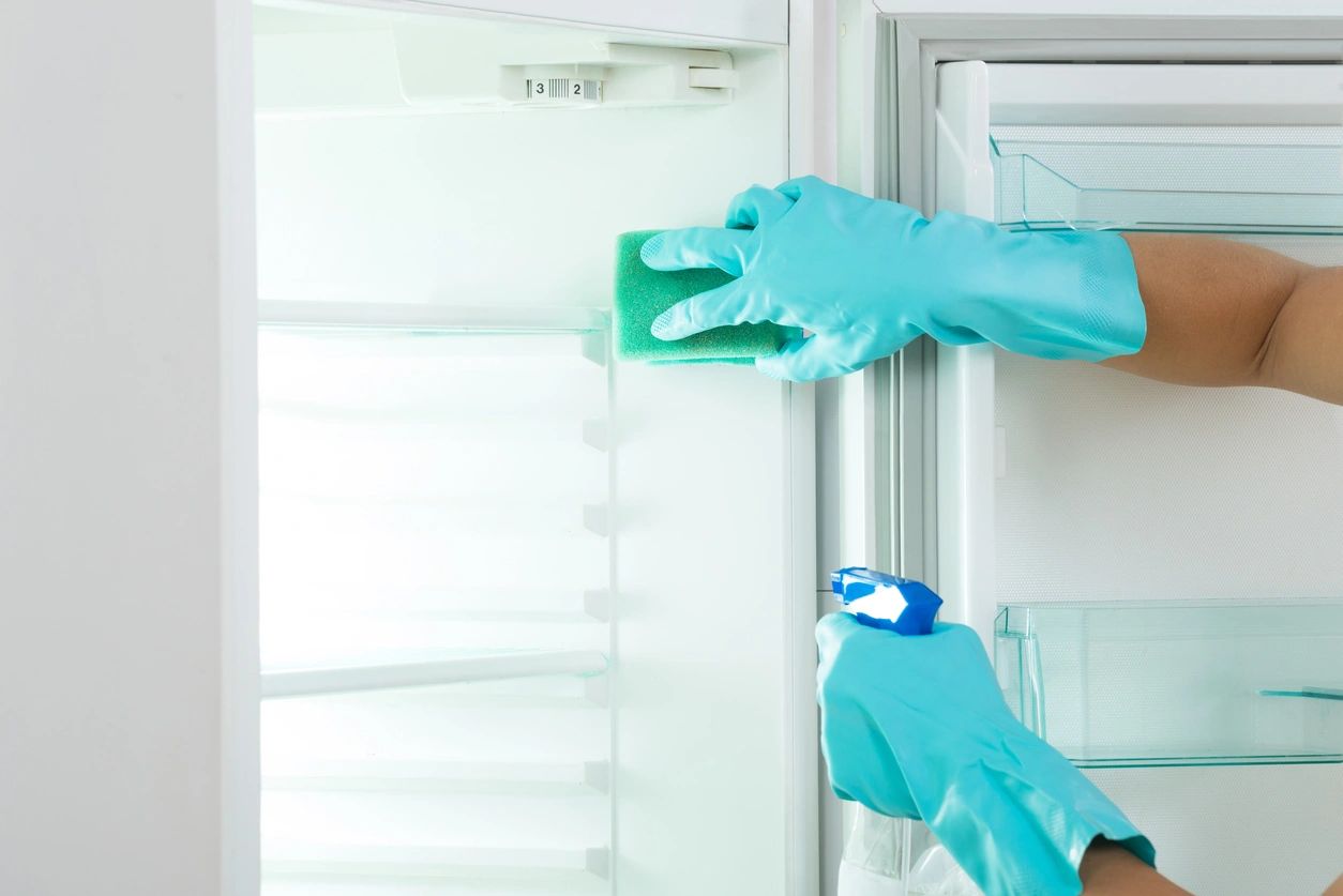 how to organize your refrigerator