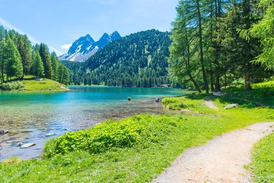 Scenic lake surrounded by trees and mountains under a clear blue sky.