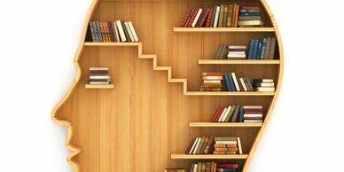 books on a mind shaped bookshelf