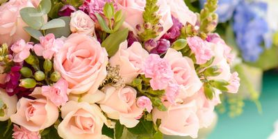 A delicate bouquet of pink and cream roses with green leaves.