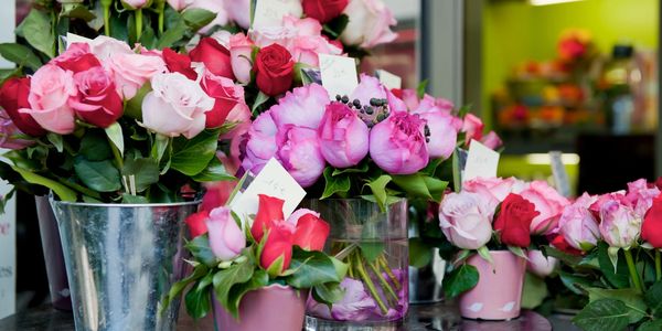 Peony, Fresh Flowers, Silver, Gold, Pink, White, Red, 