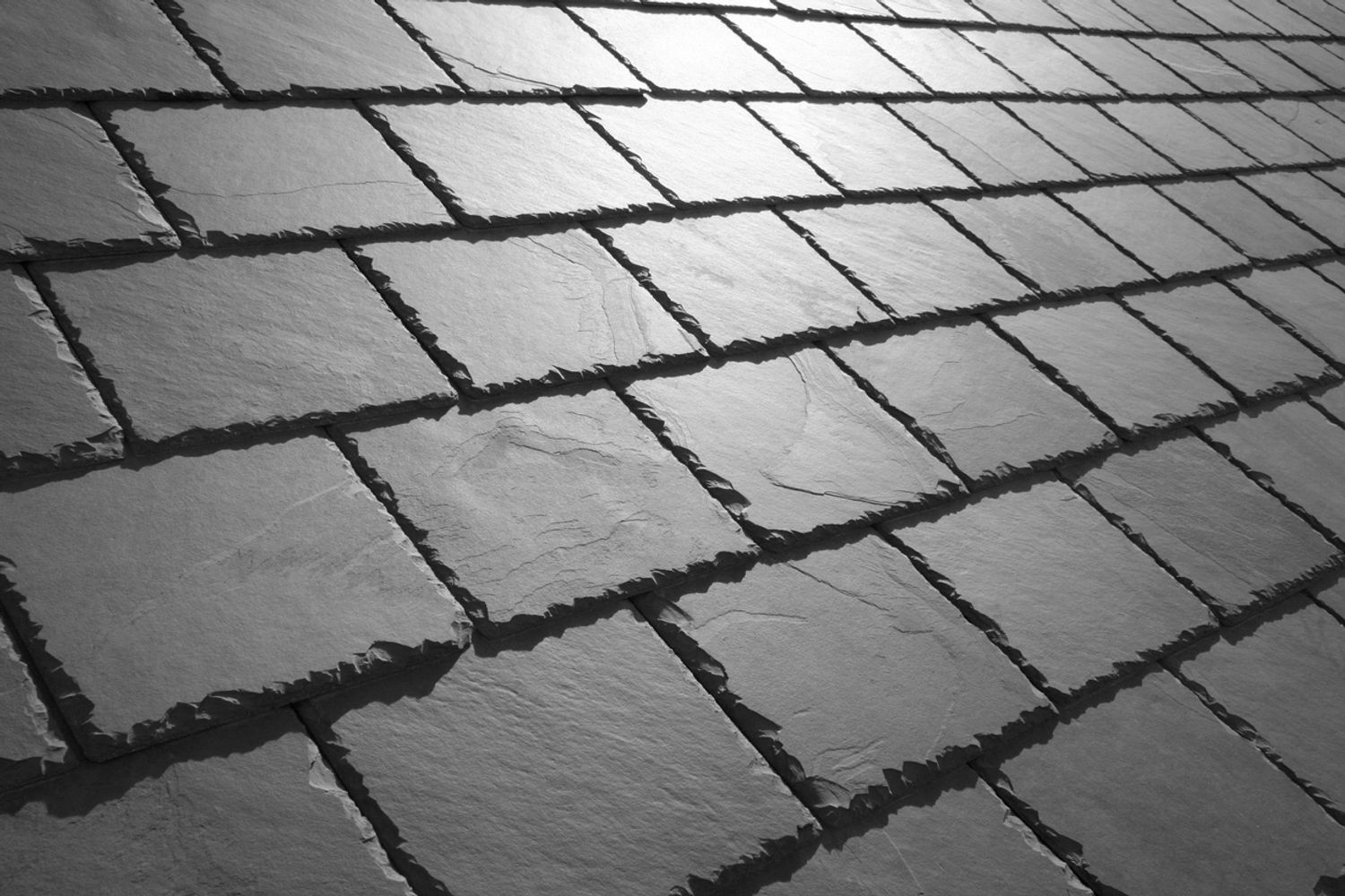 Close-up of slate roof tiles reflecting sunlight.