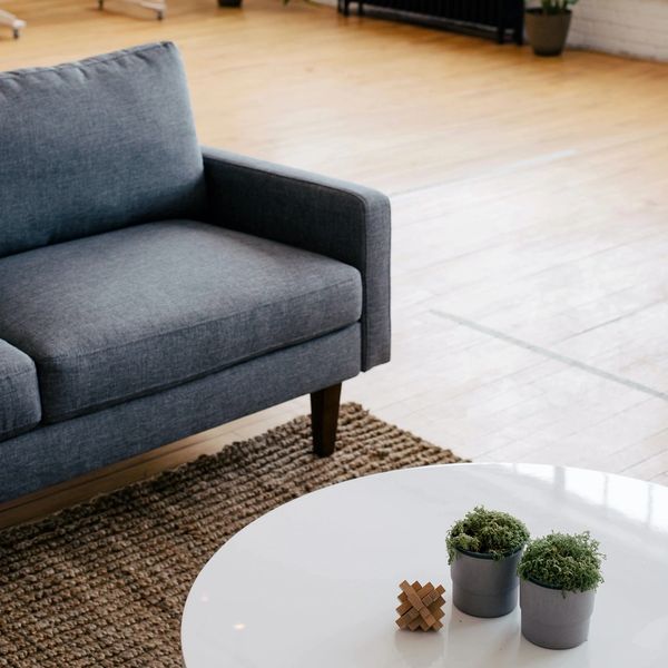Modern living room with gray sofa and minimalist decor.