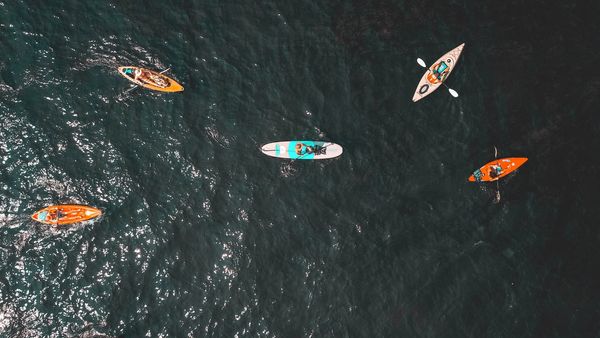 Overhead view of five people kayaking and paddleboarding on dark water.