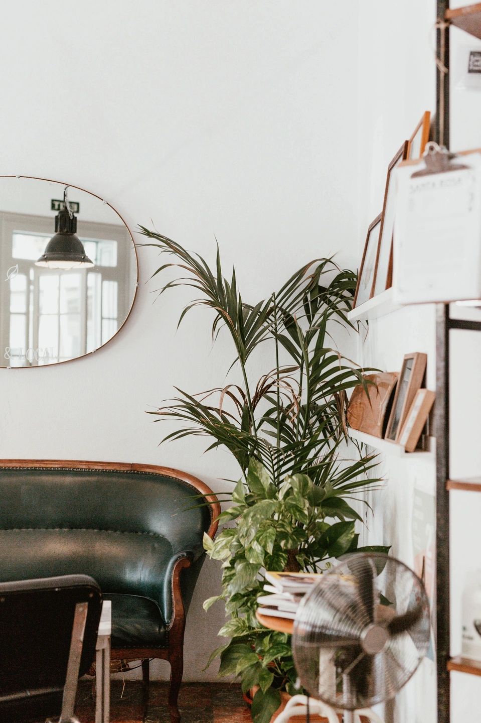 Cozy corner with vintage green sofa, lush plants, and decorative frames.