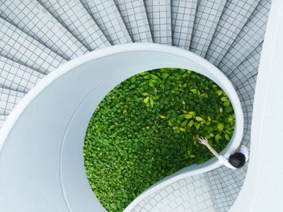 Top view of a spiral staircase surrounding green plants with a person reaching out.