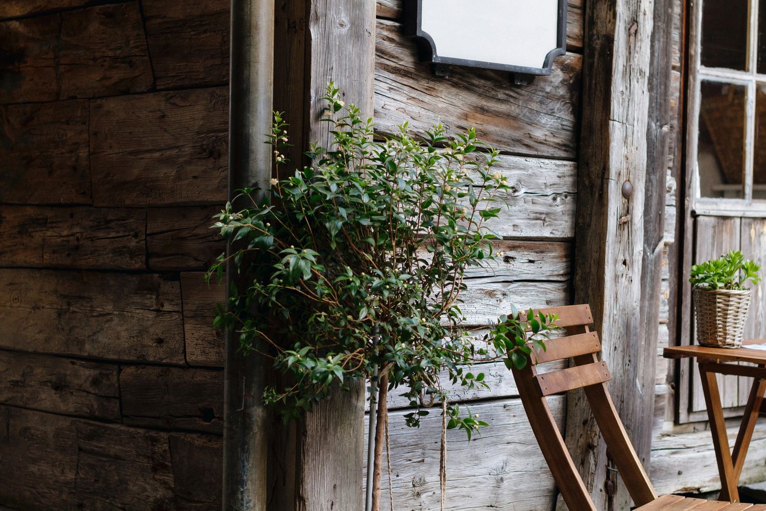 Cozy rustic porch with wooden chairs, potted plants, and aged wood walls.