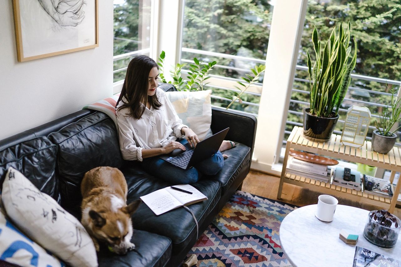 Woman typing on a laptop in a cozy living room with a dog, plants, and a notebook, representing content creation and blogging.
