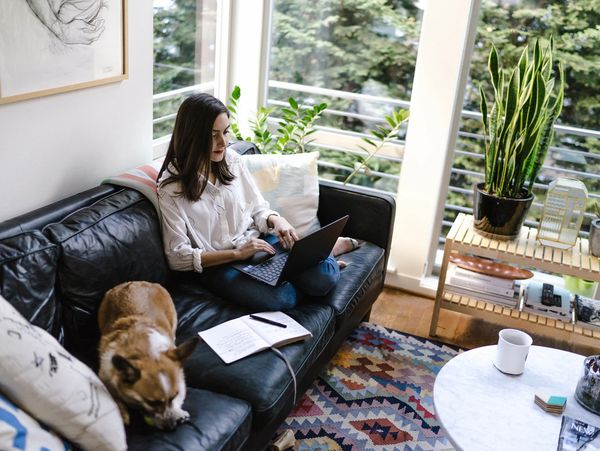 Large windows outdoor indoor greenery female sitting on couch with laptop computer with a dog