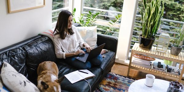 woman working from home on the couch with her dog resting beside her