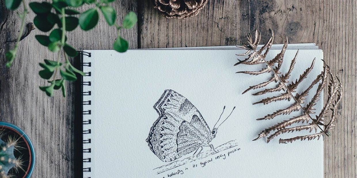Butterfly sketch on notepad