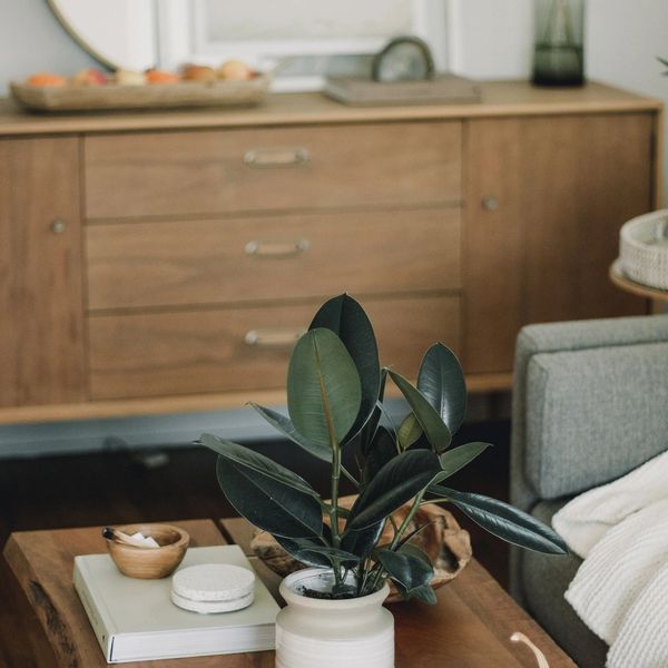 Cozy living room with a wooden coffee table, green plant, lit candle, and white pumpkin.