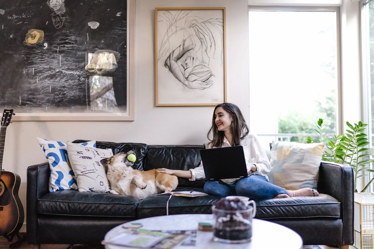 Woman sitting on a couch with a laptop, interacting with a dog holding a tennis ball, in a cozy living room setting with plants and artwork.