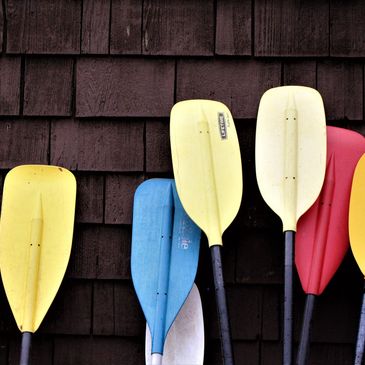 kayaking paddles shallow water