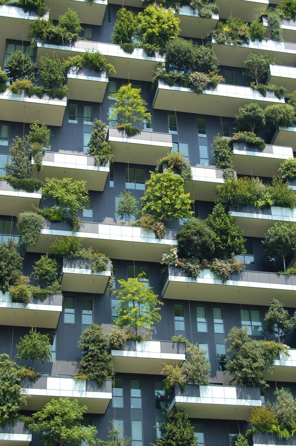 Green Residency in Kolkata — photo 1