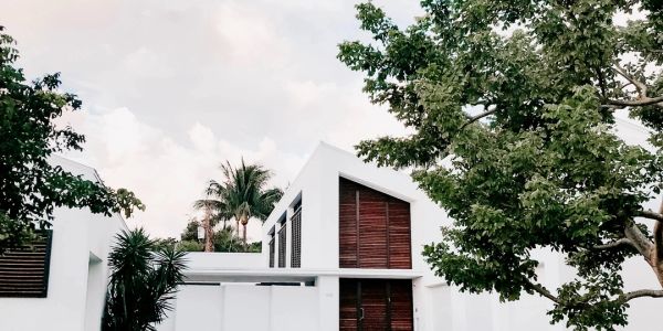 Modern white house with wooden shutters surrounded by greenery.