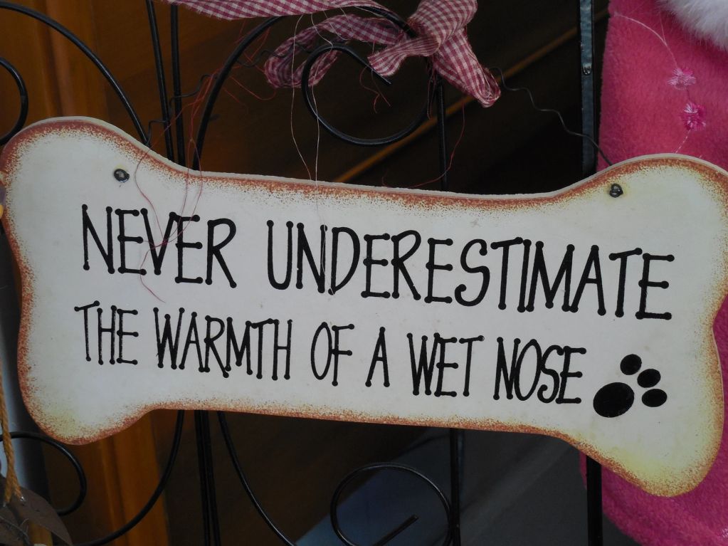 Sign shaped like a bone says, 'Never underestimate the warmth of a wet nose.'