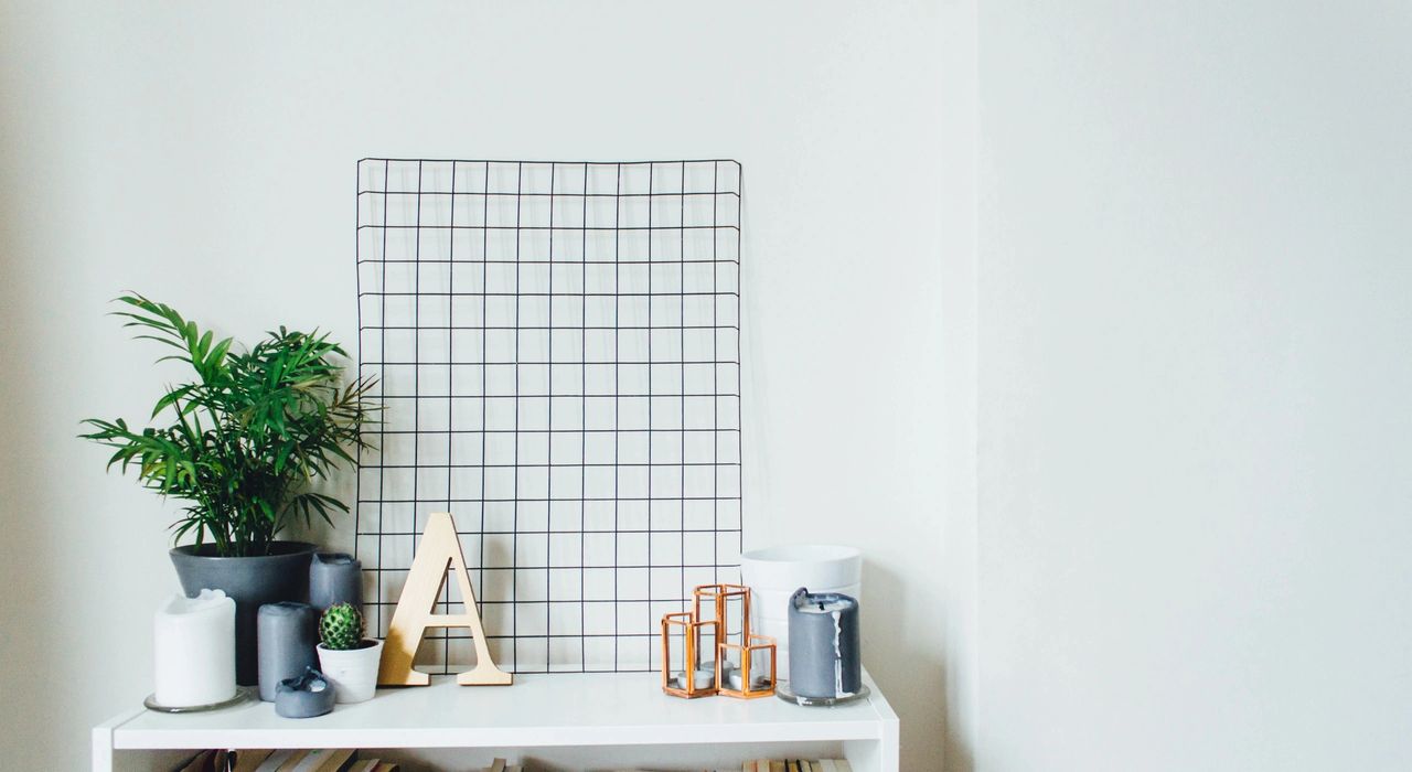 Bamboo Palm Houseplant