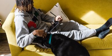 Person relaxing on yellow couch playing with black dog.