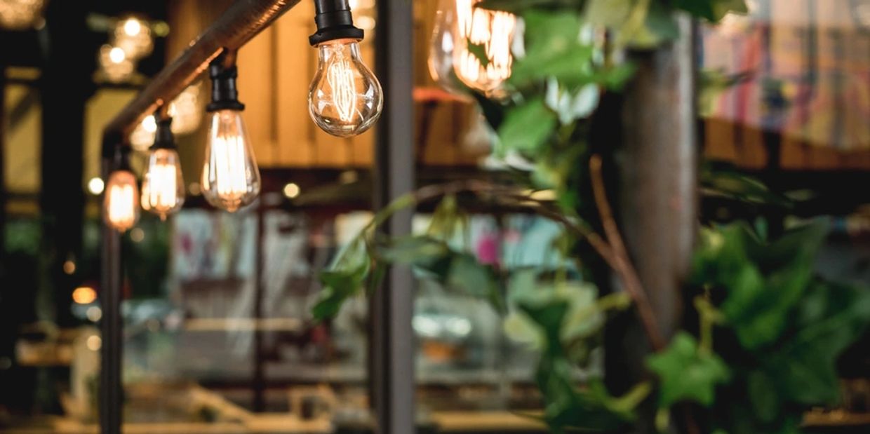 Warm hanging light bulbs with green plants.