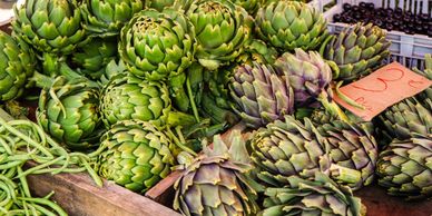 Artichoke image, link on How to grow Artichokes in the 
 vegetable garden