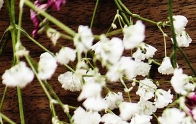 Try creative exploration of emotions and your history in thoughtful therapy.
