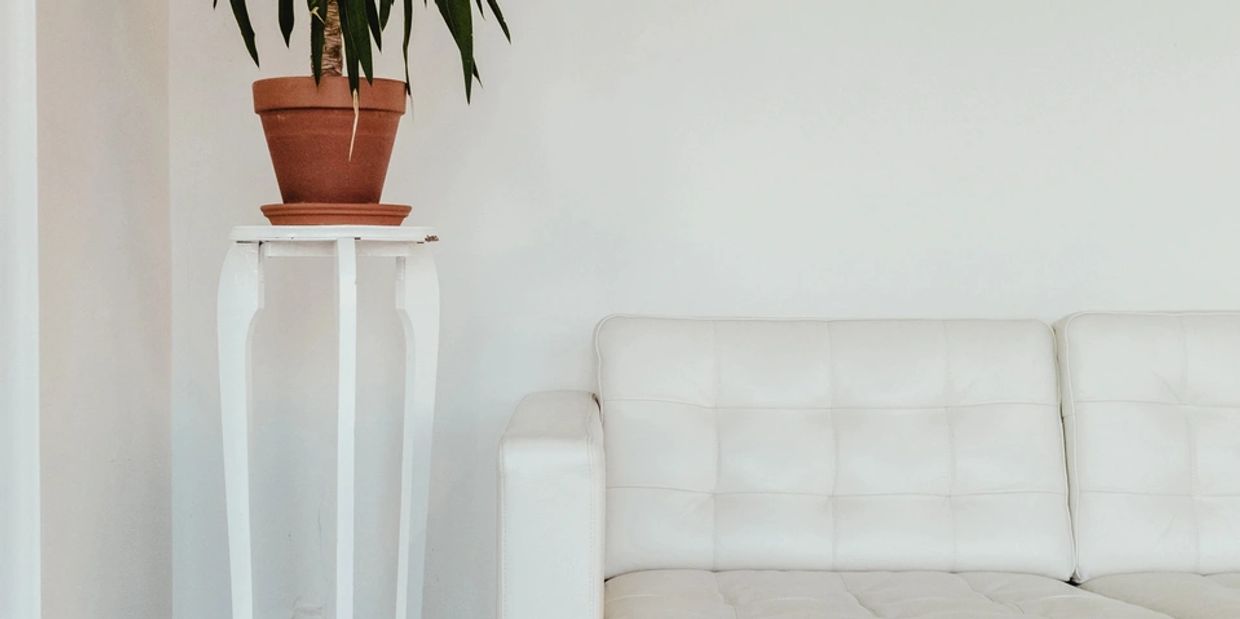 Minimalist room with white sofa and a potted plant on a tall stand.
