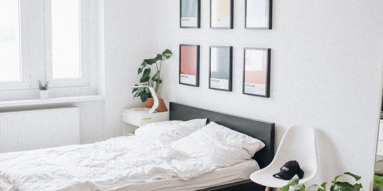 Bright, minimalist bedroom with white walls, simple decor, and green plants.