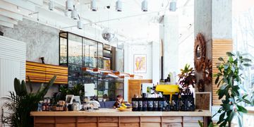 Bright, modern coffee shop with wooden counters and plants.
