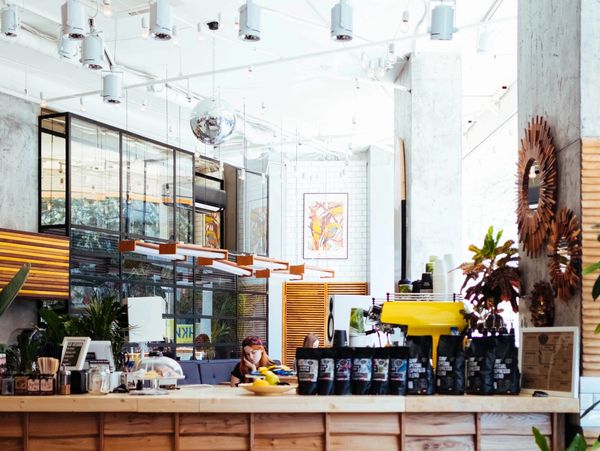 Bright, modern cafe interior with wooden accents and decorative plants.