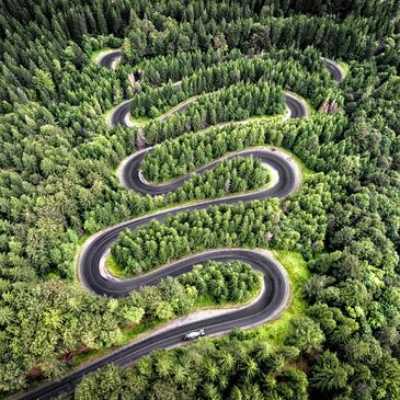 aerial view of a windy road through a forest of trees