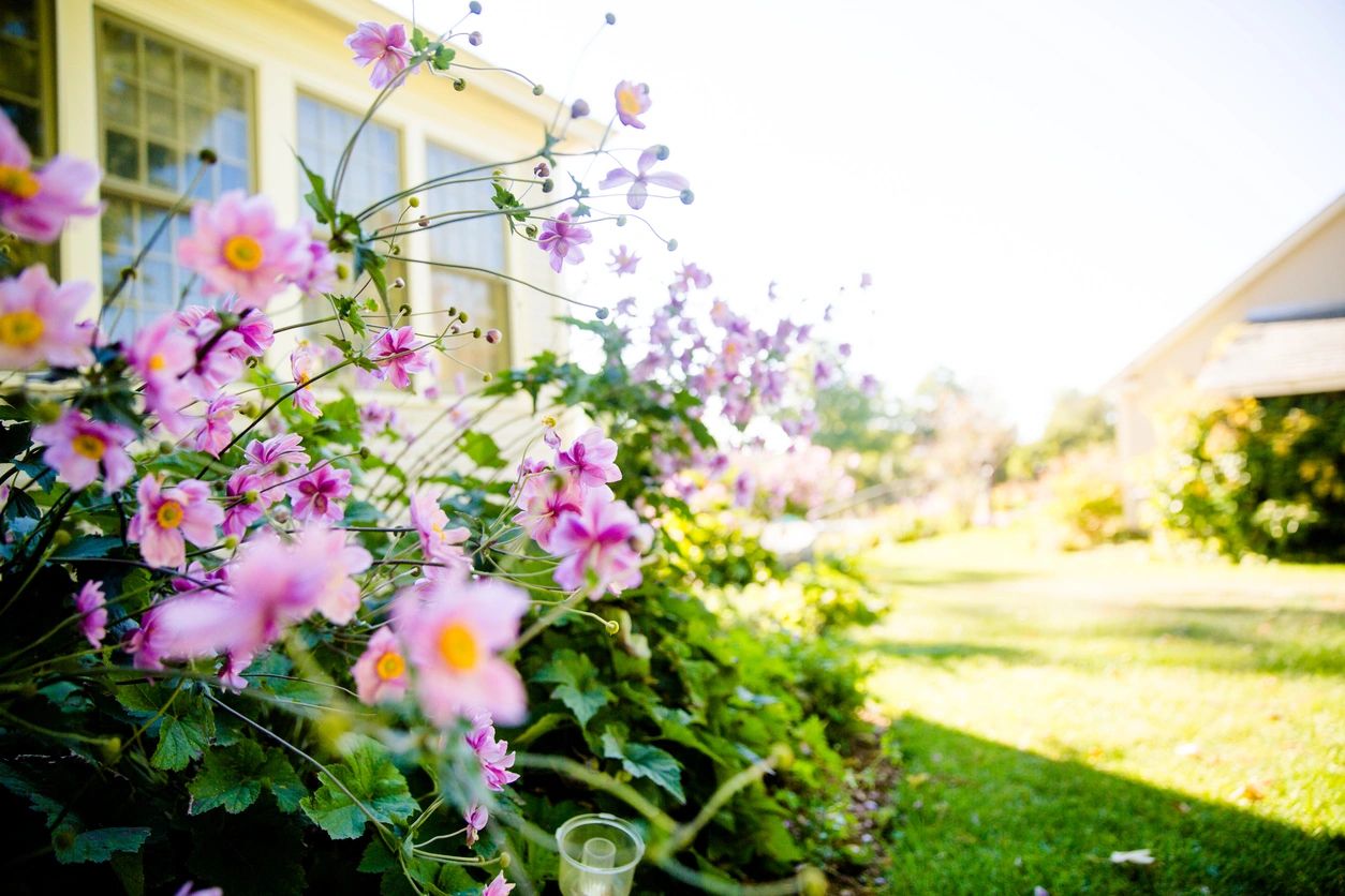 Spring Preventative Health