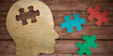 finding the pieces to the puzzle of mental health and wellness