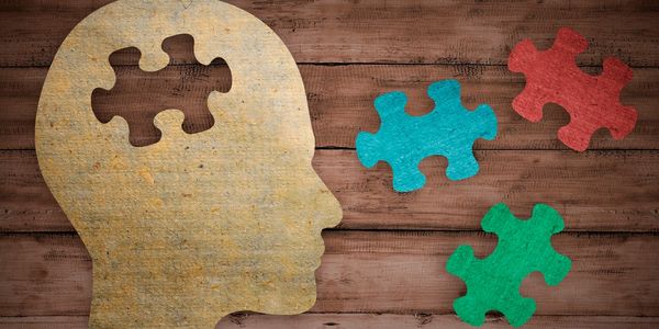 finding the pieces to the puzzle of mental health and wellness