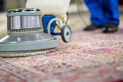 Professional Carpet Cleaning by Cruz Cleaning Services LLC in McHenry IL
