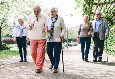 Three elderly couples walking and enjoying a sunny park day.