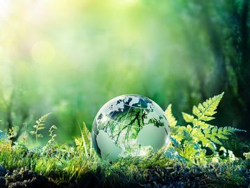 Slow down and honour this special day to be on the earth as you notice what is alive in you and in t