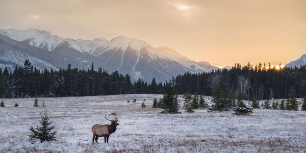 Hunting in Southwest Wyoming is a popular activity that attracts many hunters from around the world.